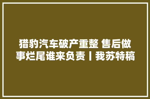 猎豹汽车破产重整 售后做事烂尾谁来负责丨我苏特稿