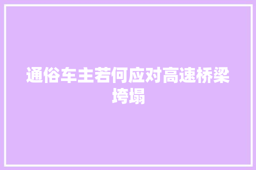 通俗车主若何应对高速桥梁垮塌
