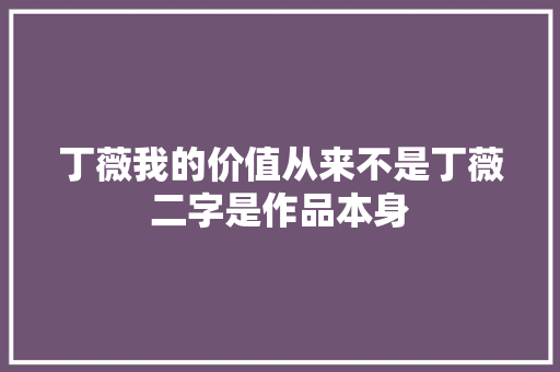 丁薇我的价值从来不是丁薇二字是作品本身