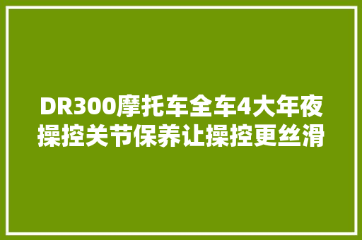 DR300摩托车全车4大年夜操控关节保养让操控更丝滑摩托车修理