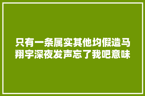 只有一条属实其他均假造马翔宇深夜发声忘了我吧意味深长