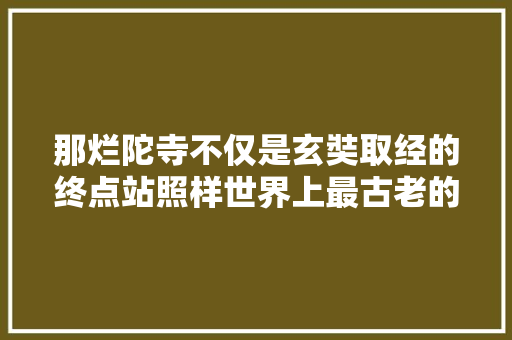 那烂陀寺不仅是玄奘取经的终点站照样世界上最古老的大年夜学之一