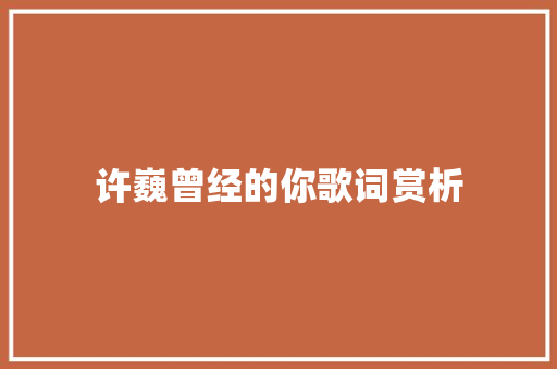 许巍曾经的你歌词赏析