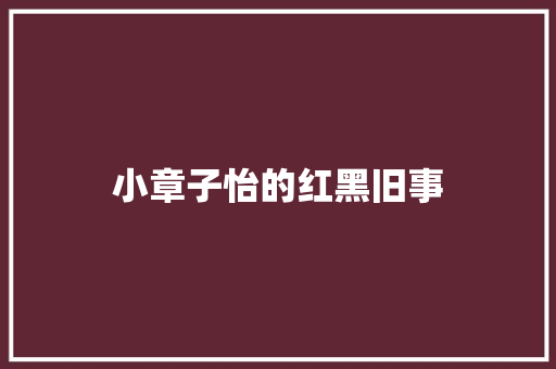 小章子怡的红黑旧事