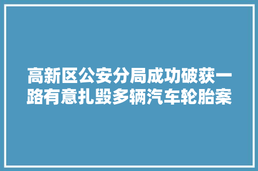 高新区公安分局成功破获一路有意扎毁多辆汽车轮胎案