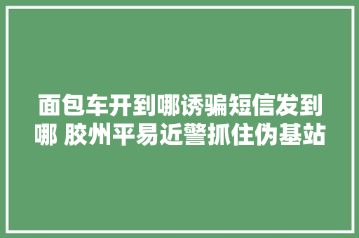 面包车开到哪诱骗短信发到哪 胶州平易近警抓住伪基站 汽车知识