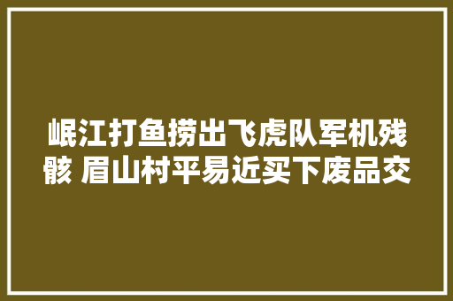 岷江打鱼捞出飞虎队军机残骸 眉山村平易近买下废品交文管所