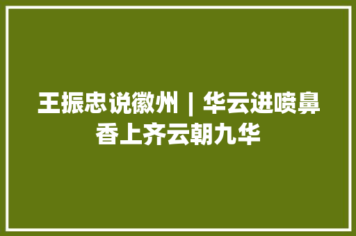 王振忠说徽州︱华云进喷鼻香上齐云朝九华