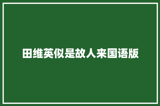 田维英似是故人来国语版 休闲娱乐