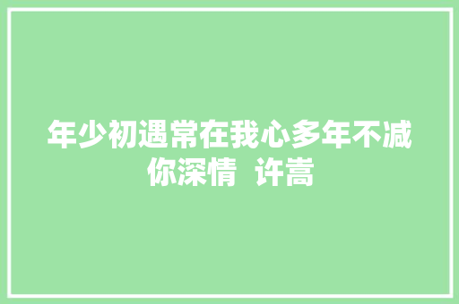 年少初遇常在我心多年不减你深情  许嵩