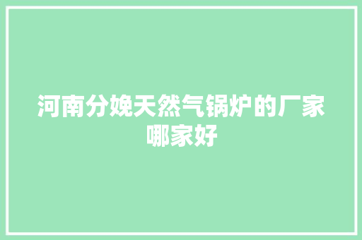 河南分娩天然气锅炉的厂家哪家好