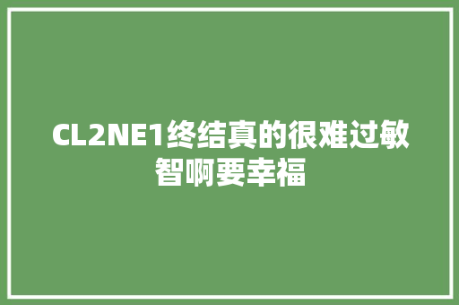 CL2NE1终结真的很难过敏智啊要幸福