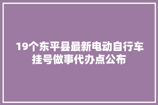 19个东平县最新电动自行车挂号做事代办点公布