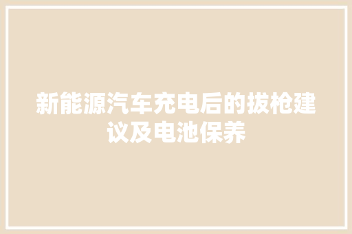 新能源汽车充电后的拔枪建议及电池保养