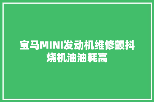 宝马MINI发动机维修颤抖烧机油油耗高 汽车知识