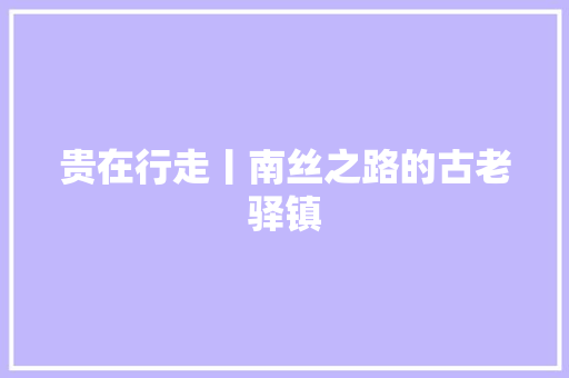贵在行走丨南丝之路的古老驿镇