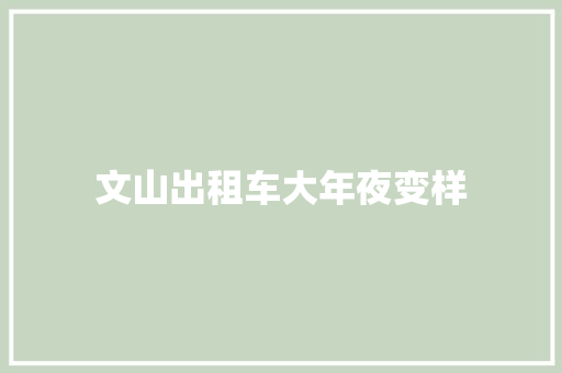 文山出租车大年夜变样