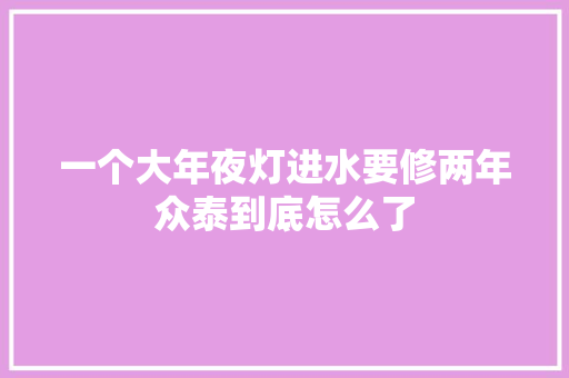一个大年夜灯进水要修两年众泰到底怎么了