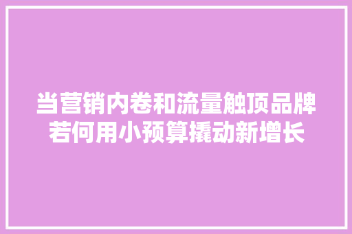 当营销内卷和流量触顶品牌若何用小预算撬动新增长