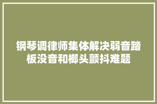 钢琴调律师集体解决弱音踏板没音和榔头颤抖难题