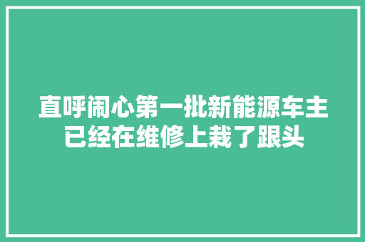 直呼闹心第一批新能源车主已经在维修上栽了跟头
