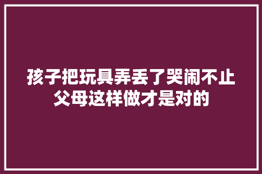 孩子把玩具弄丢了哭闹不止父母这样做才是对的