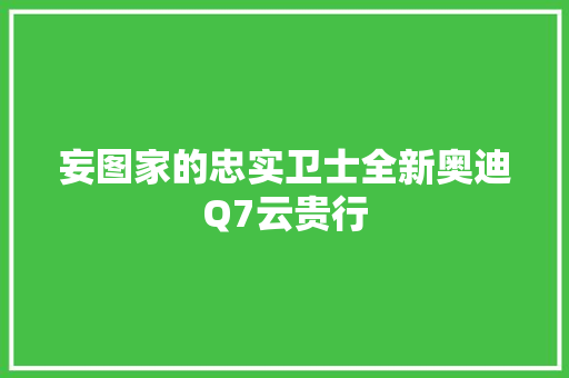 妄图家的忠实卫士全新奥迪Q7云贵行
