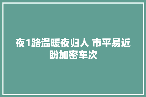 夜1路温暖夜归人 市平易近盼加密车次