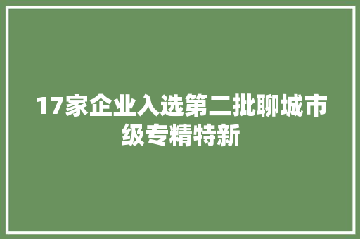 17家企业入选第二批聊城市级专精特新