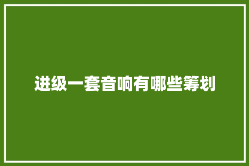 进级一套音响有哪些筹划