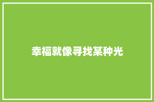 幸福就像寻找某种光