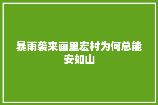 暴雨袭来画里宏村为何总能安如山