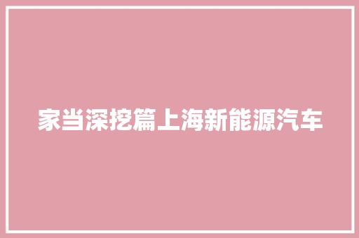 家当深挖篇上海新能源汽车 汽车知识