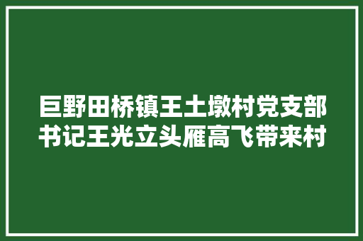 巨野田桥镇王土墩村党支部书记王光立头雁高飞带来村落蝶变