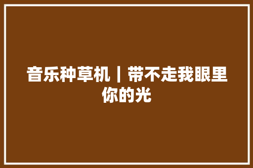 音乐种草机｜带不走我眼里你的光