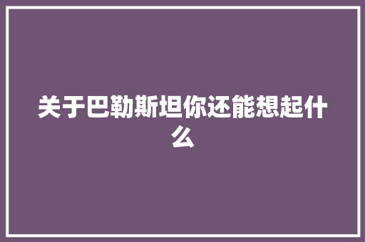 关于巴勒斯坦你还能想起什么