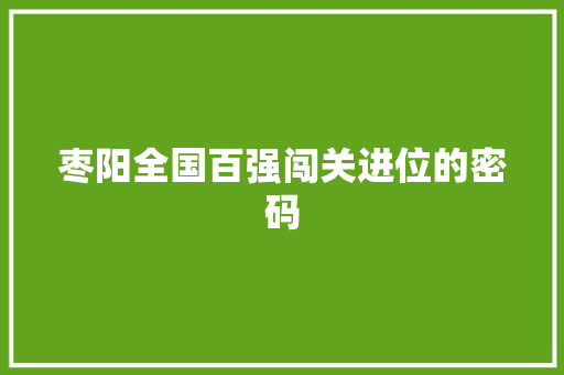 枣阳全国百强闯关进位的密码