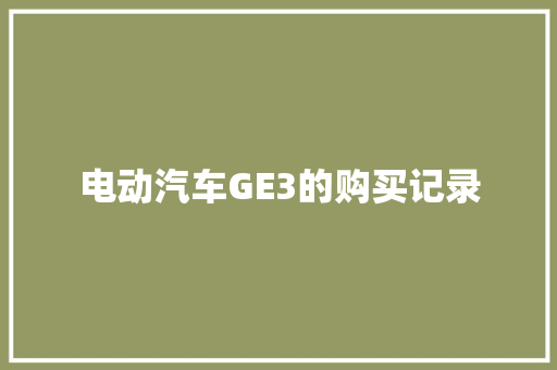 电动汽车GE3的购买记录
