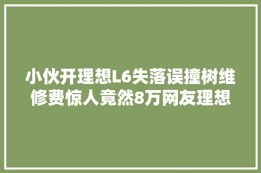 小伙开理想L6失落误撞树维修费惊人竟然8万网友理想就这质量