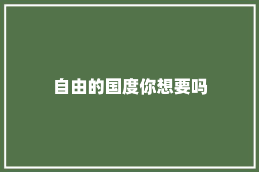 自由的国度你想要吗