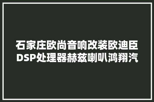 石家庄欧尚音响改装欧迪臣DSP处理器赫兹喇叭鸿翔汽车音响