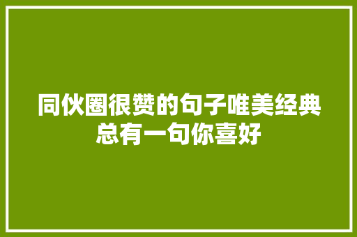 同伙圈很赞的句子唯美经典总有一句你喜好