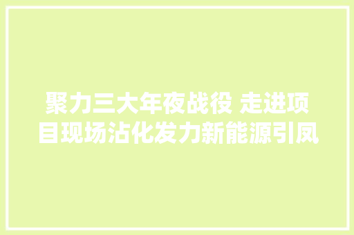 聚力三大年夜战役 走进项目现场沾化发力新能源引凤来栖