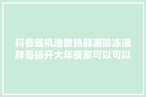 科鲁兹机油散热器漏防冻液胖哥拆开大年夜家可以可以看一下