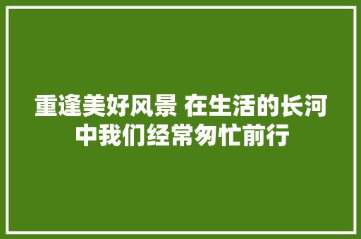 重逢美好风景 在生活的长河中我们经常匆忙前行