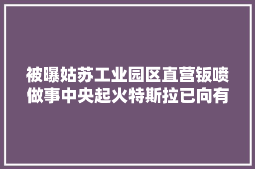 被曝姑苏工业园区直营钣喷做事中央起火特斯拉已向有关部门反馈相关情况