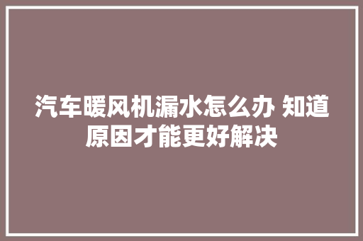 汽车暖风机漏水怎么办 知道原因才能更好解决