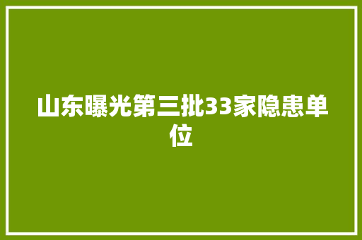 山东曝光第三批33家隐患单位