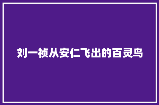 刘一祯从安仁飞出的百灵鸟