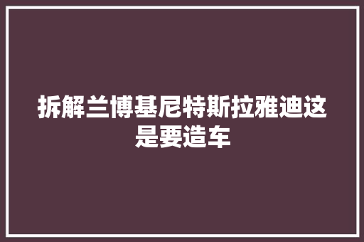 拆解兰博基尼特斯拉雅迪这是要造车